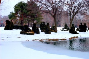 Water freezing over